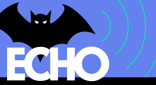 Echo